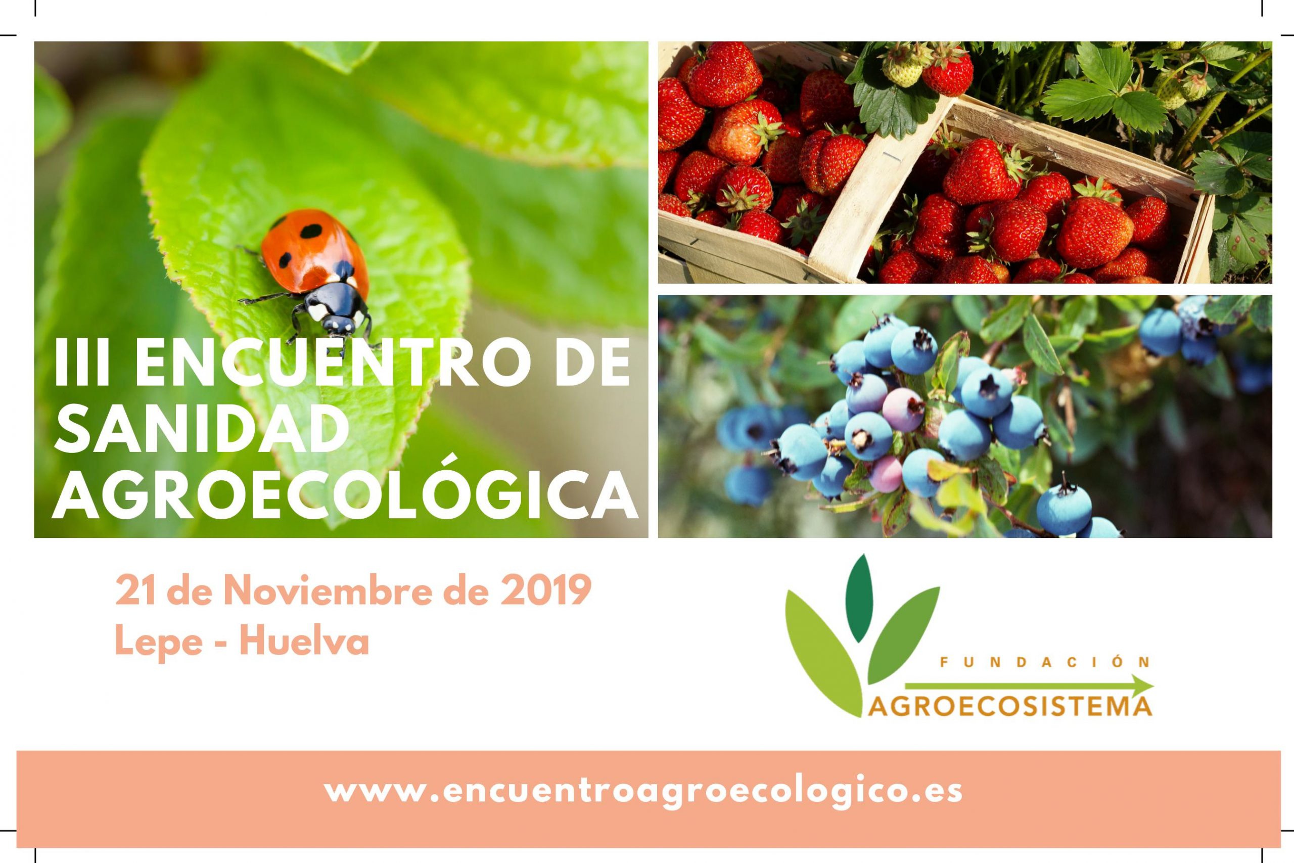 Cítricos y berries protagonistas del III Encuentro de Sanidad Agroecológica
