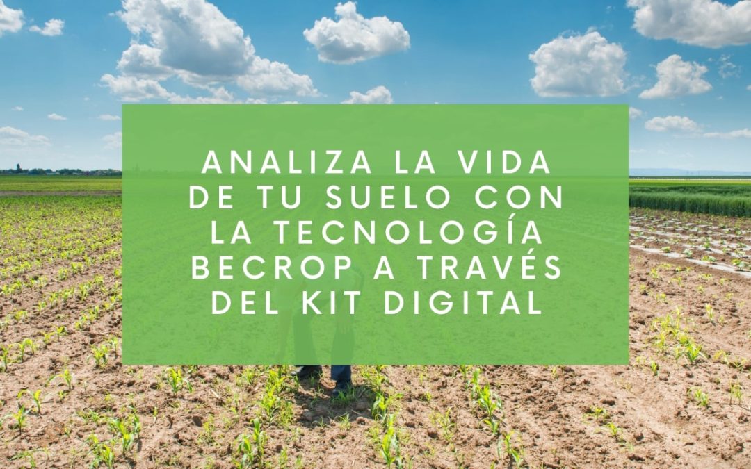 Analiza la Vida de Tu Suelo con la tecnología BeCrop a través del Kit Digital
