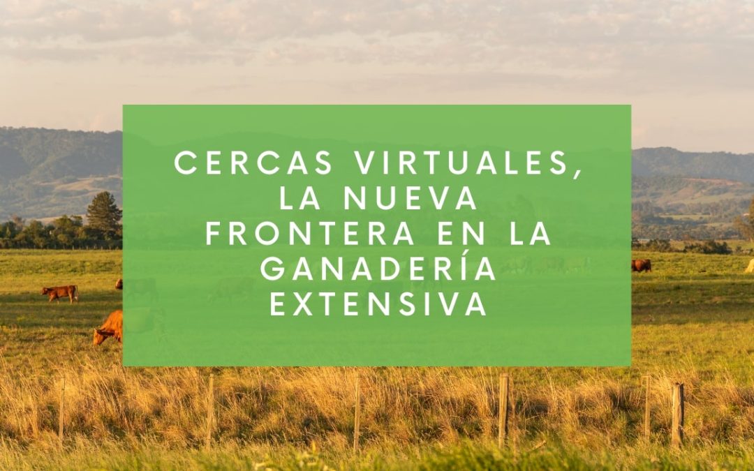 Cercas virtuales, la nueva frontera en la  ganadería extensiva