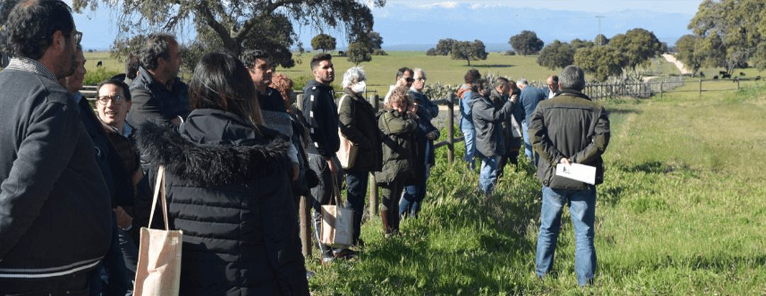 Acción Social y Cooperación Internacional