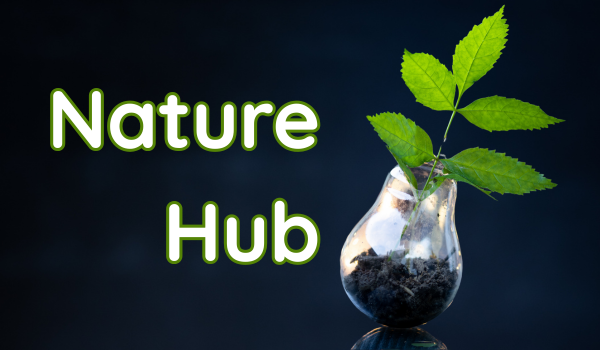 Nature Hub: Renaturalización de los Ecosistemas Agroganaderos
