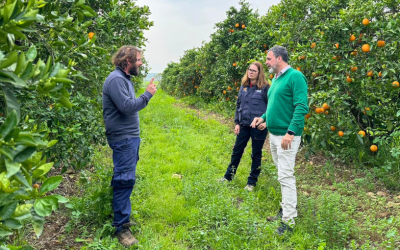 Pequeño por fuera, grande por dentro. Fundación Agroecosistema 2025