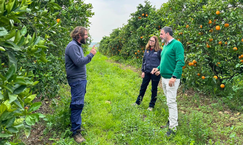 Pequeño por fuera, grande por dentro. Fundación Agroecosistema 2025