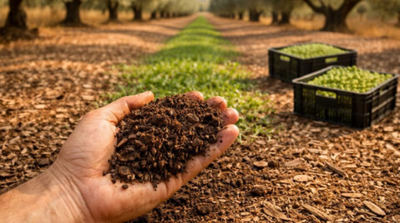 La Fundación Agroecosistema organiza una comunidad de prácticas sobre fertilidad y agua en suelos agrícolas en el marco del proyecto TET