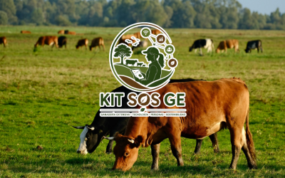 Se pone en marcha KIT-SOS-GE, un proyecto para impulsar una ganadería extensiva más sostenible, resiliente y rentable