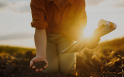 Pilas acogerá una jornada sobre proyectos agrarios de Doñana y un curso práctico sobre fertilidad y agua en suelos agrícolas