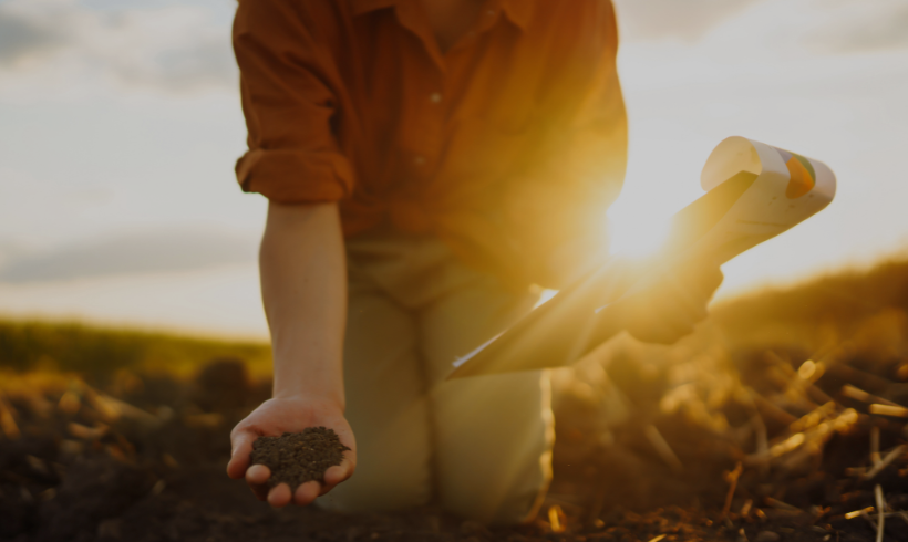 jornada sobre proyectos agrarios de Doñana y un curso práctico sobre fertilidad y agua en suelos agrícolas