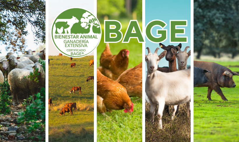 BAGE – Bienestar Animal de Ganadería Extensiva