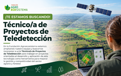 Buscamos un/a técnico/a de proyectos de teledetección para incorporarse a nuestro equipo
