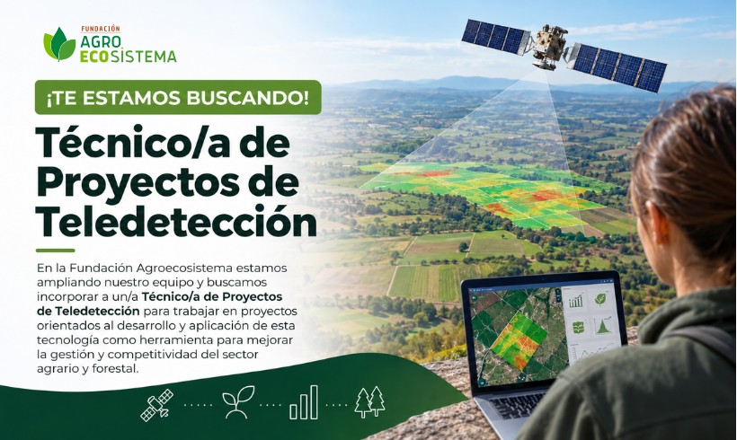 técnicoa de proyectos de teledetección